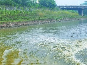 保定高阳污水清运多少钱